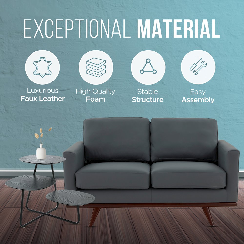 Chester Modern Leather Loveseat With Birch Wood Base
