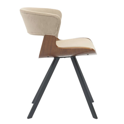 Wooden Dining Chair Modern style Nymia Collection Walnut Color in Light Brown