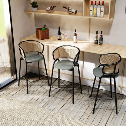 Ervilla Wicker Bar Stool Set of 2