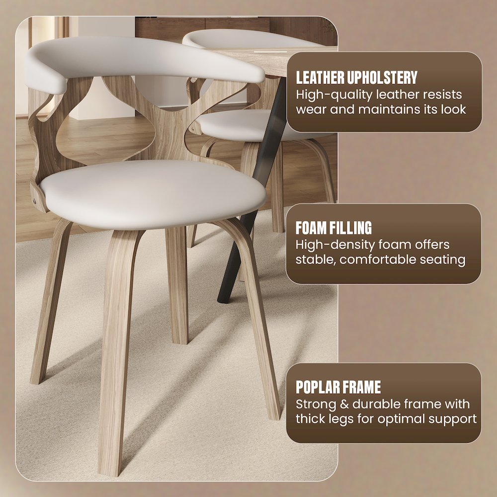 Modern Wooden Dining Chair