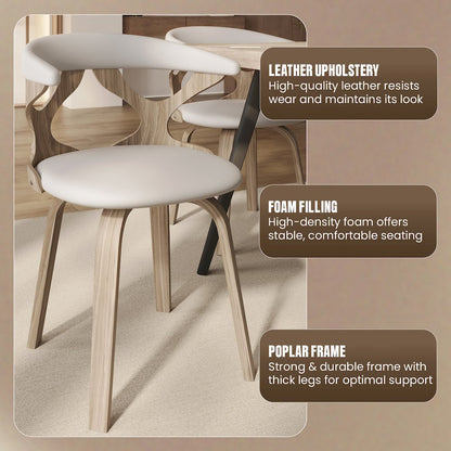 Modern Wooden Dining Chair