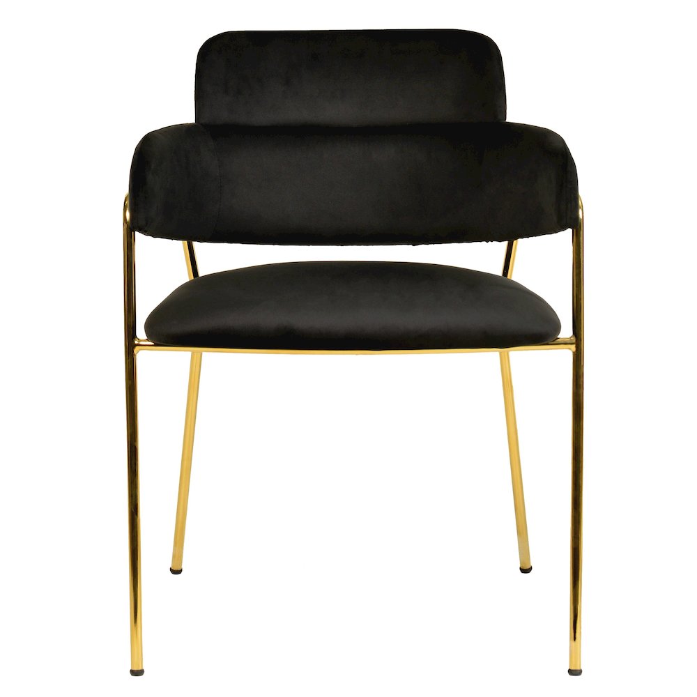 Axis Collection Modern Gold Dining Chair in Black - Set of 2