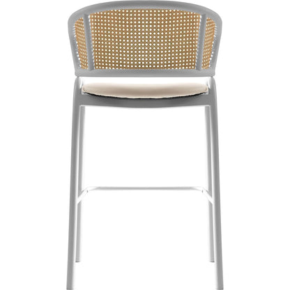 Ervilla Wicker Bar Stool Set of 2
