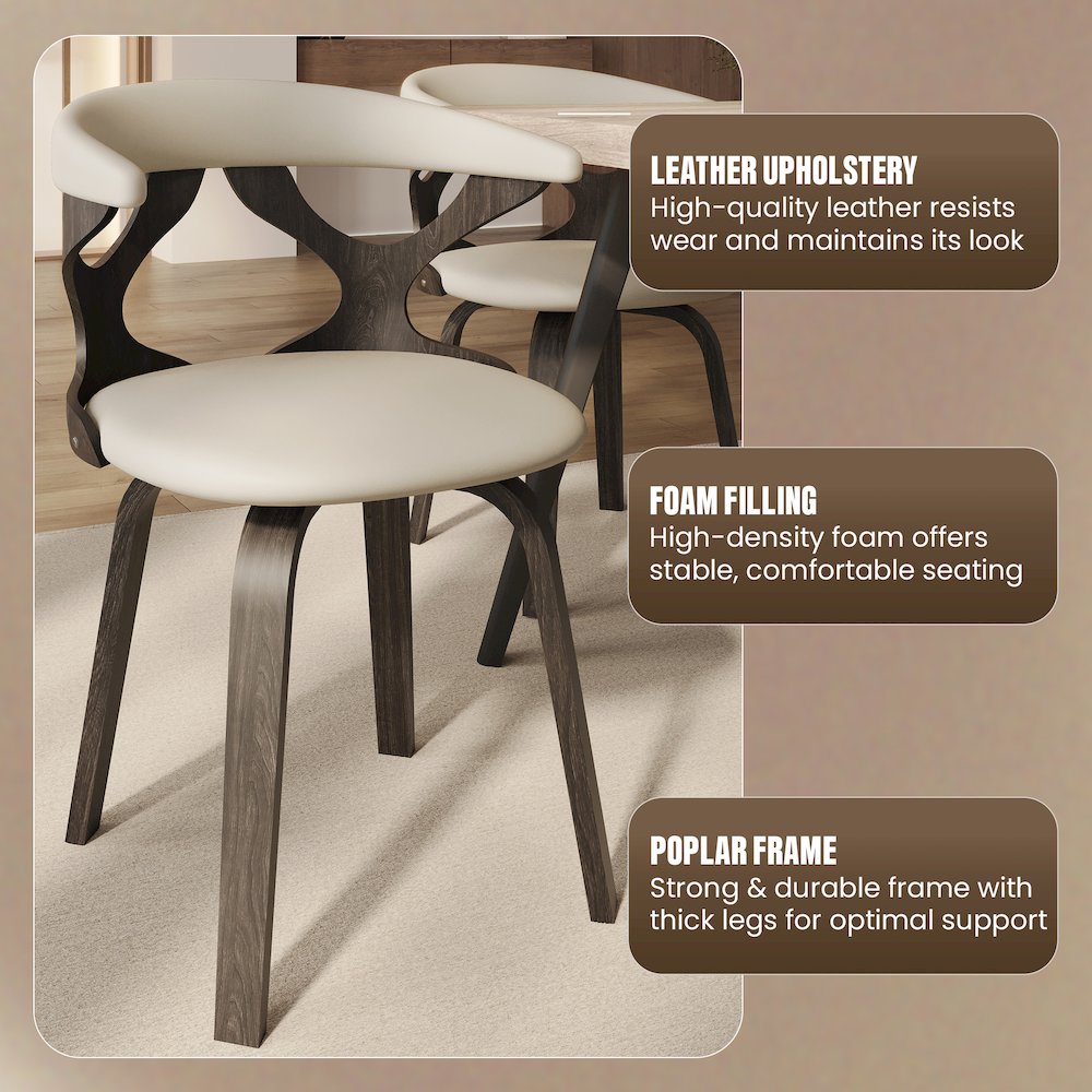 Modern Wooden Dining Chair