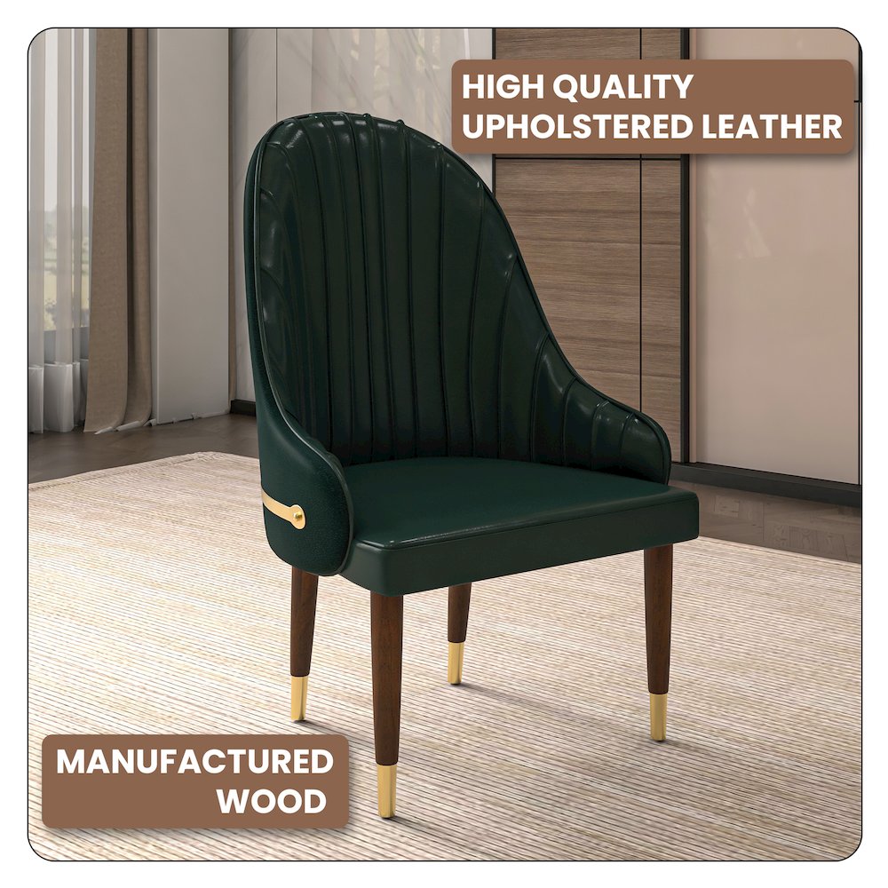 Elara Collection Wooden Dining Chair in Two-Tone Green