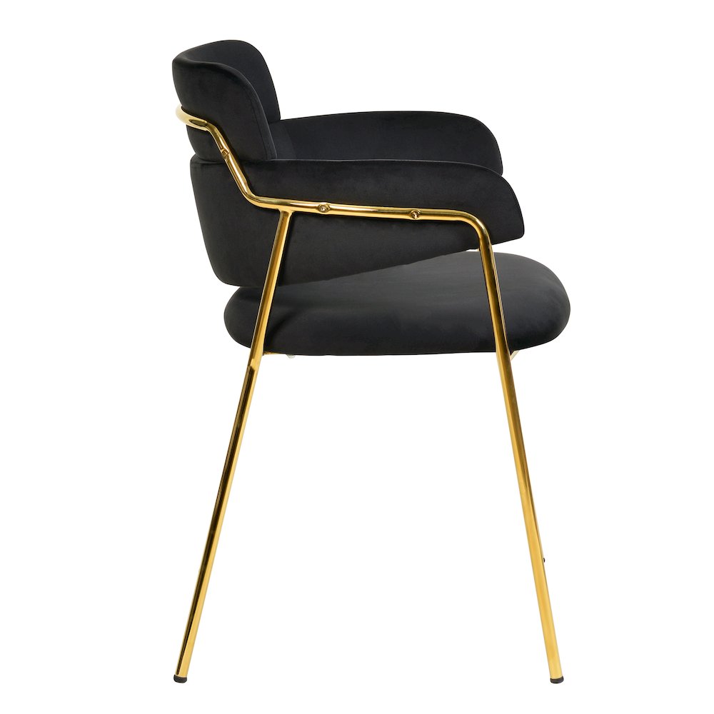 Axis Collection Modern Gold Dining Chair in Black