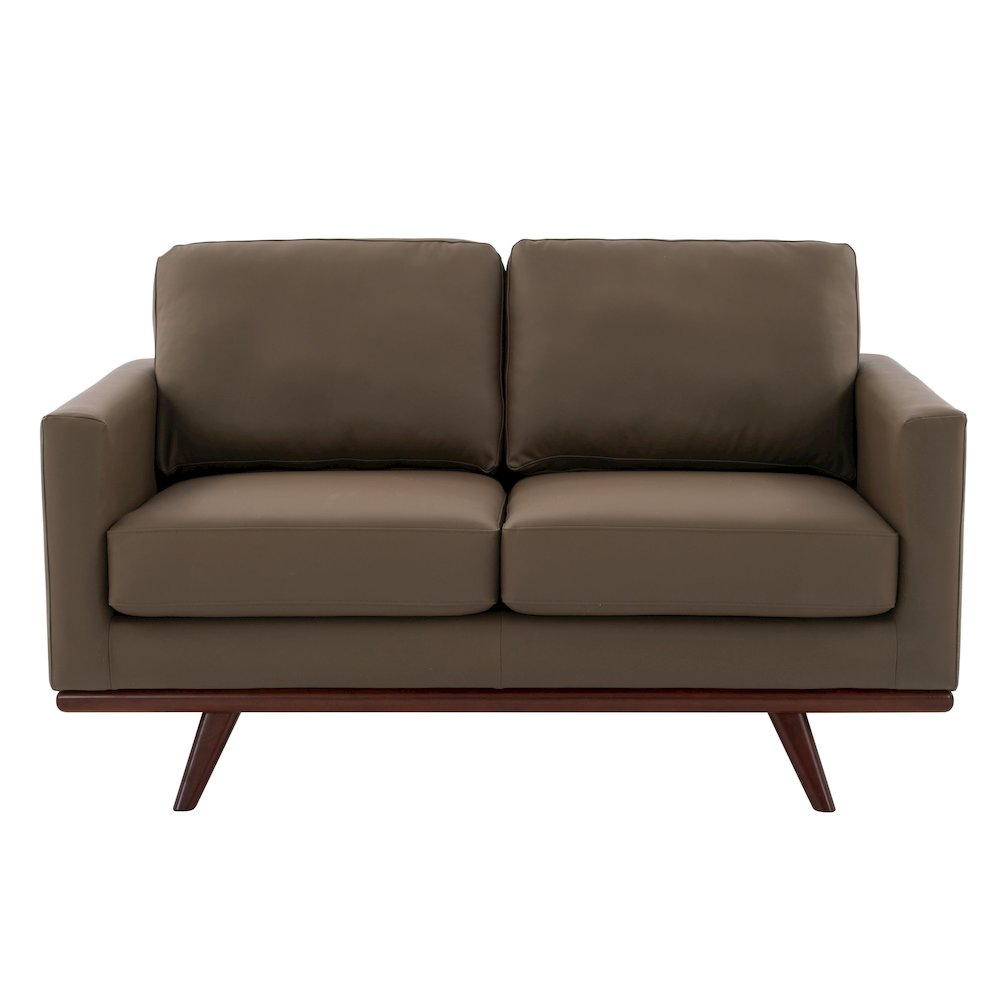 Chester Modern Faux Leather Loveseat in Taupe Leather