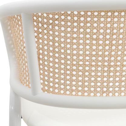 Ervilla Modern Dining Chair Set of 4