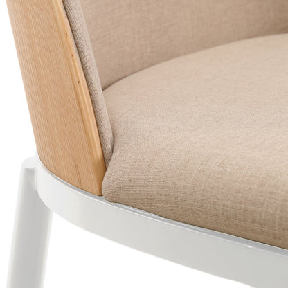 Tule Mid-Century Modern Dining Side Chair Set of 2