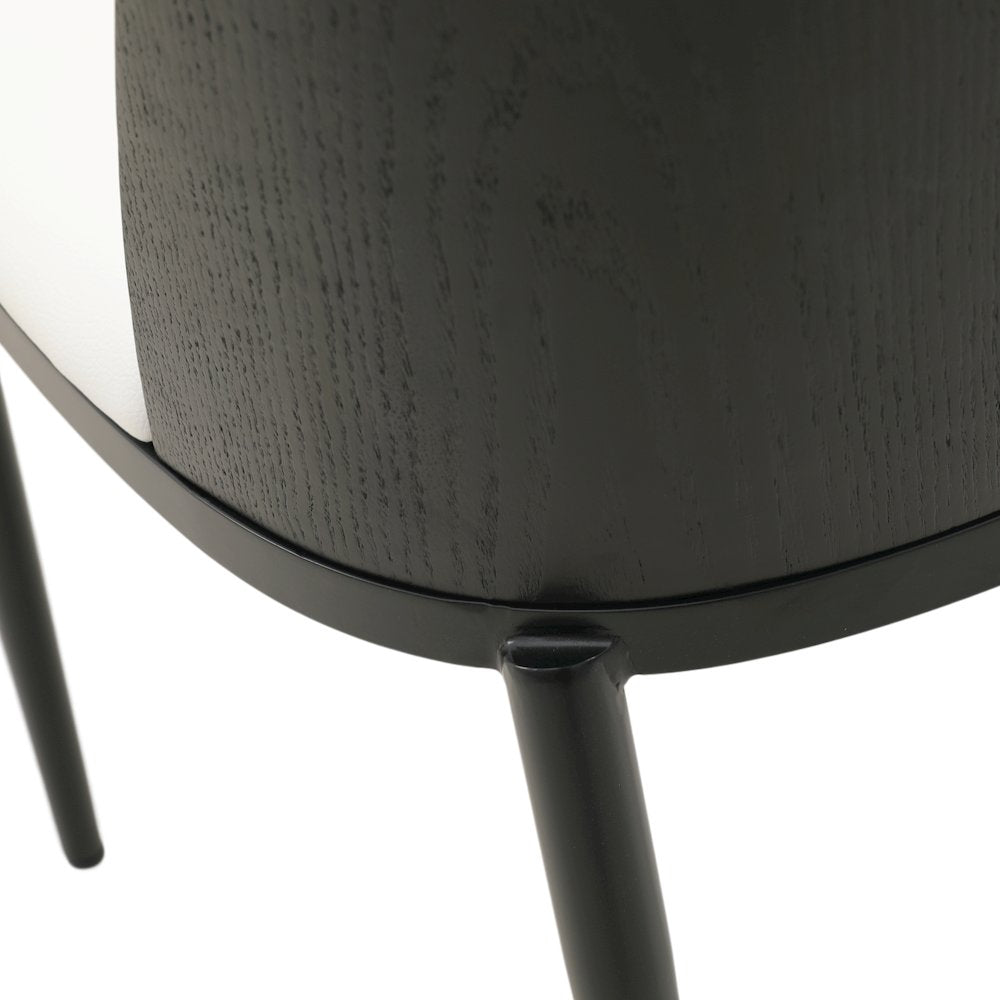 Tule Mid-Century Modern Dining Side Chair Set of 2