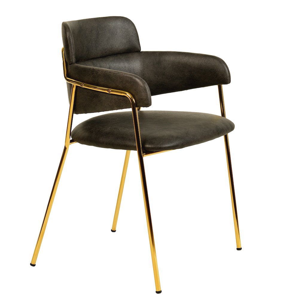 Axis Collection Modern Gold Dining Chair in Charcoal