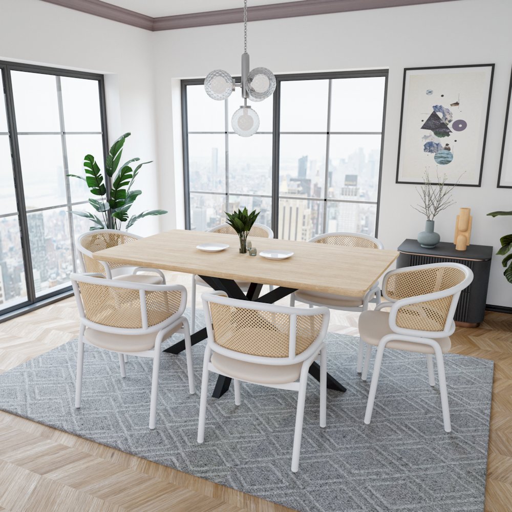 Ervilla Modern Dining Chair Set of 2