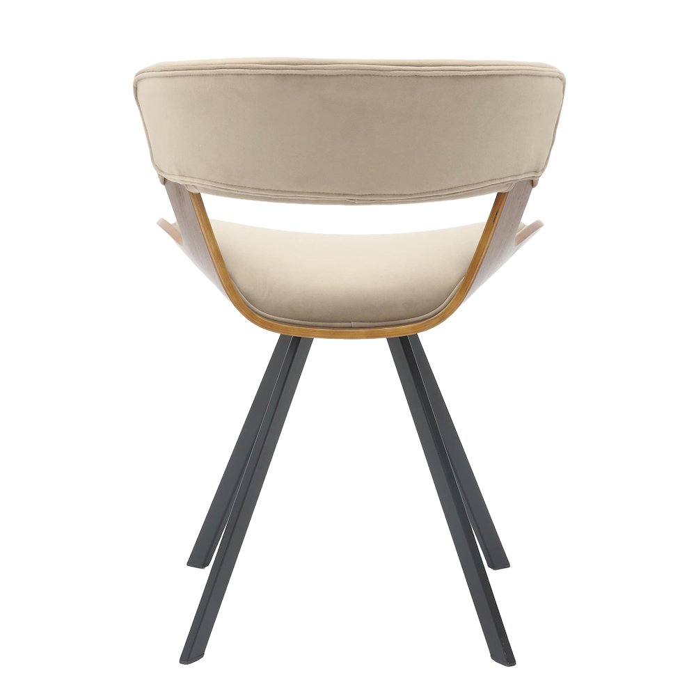 Wooden Dining Chair Modern style Nymia Collection Walnut Color in Light Brown