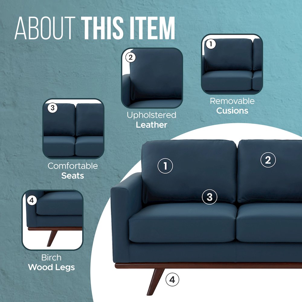 Chester Modern Leather Loveseat With Birch Wood Base