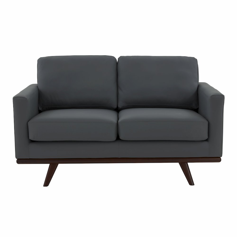 Chester Modern Leather Loveseat With Birch Wood Base