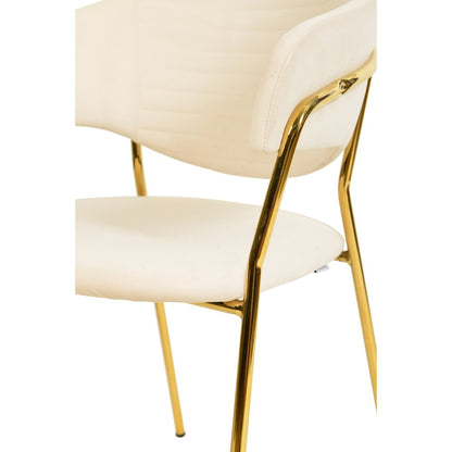 Bella Collection Modern Dining Chair in Off White