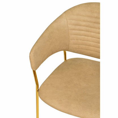 Bella Collection Modern Dining Chair in Toupe