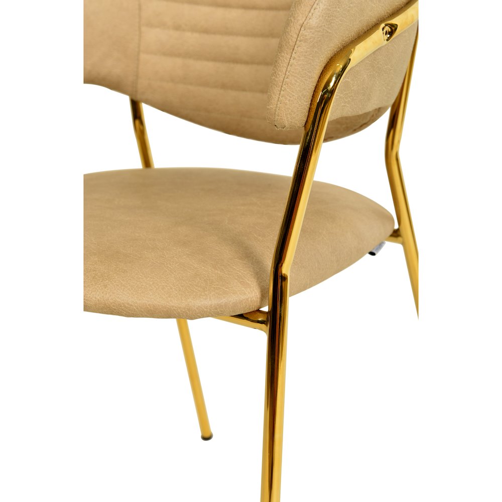 Bella Collection Modern Dining Chair in Toupe