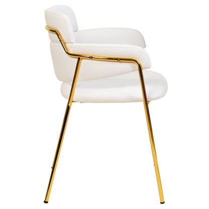 Axis Collection Modern Gold Dining Chair in White - Set of 2
