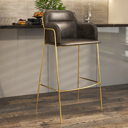 Axis Collection Modern Gold Bar height Chair in Charcoal