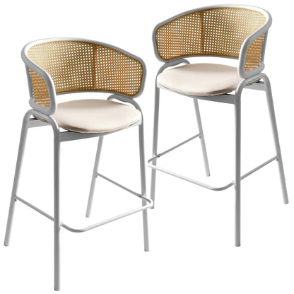 Ervilla Wicker Bar Stool Set of 2