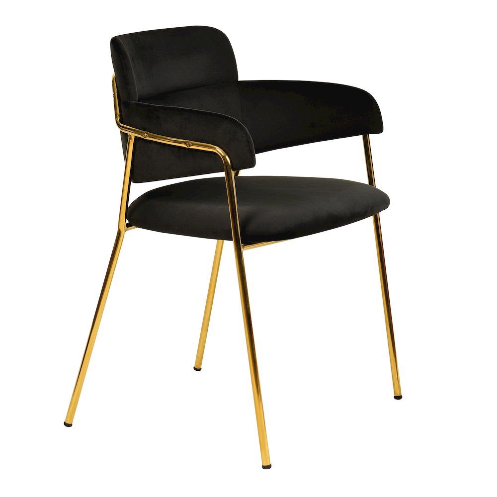 Axis Collection Modern Gold Dining Chair in Black