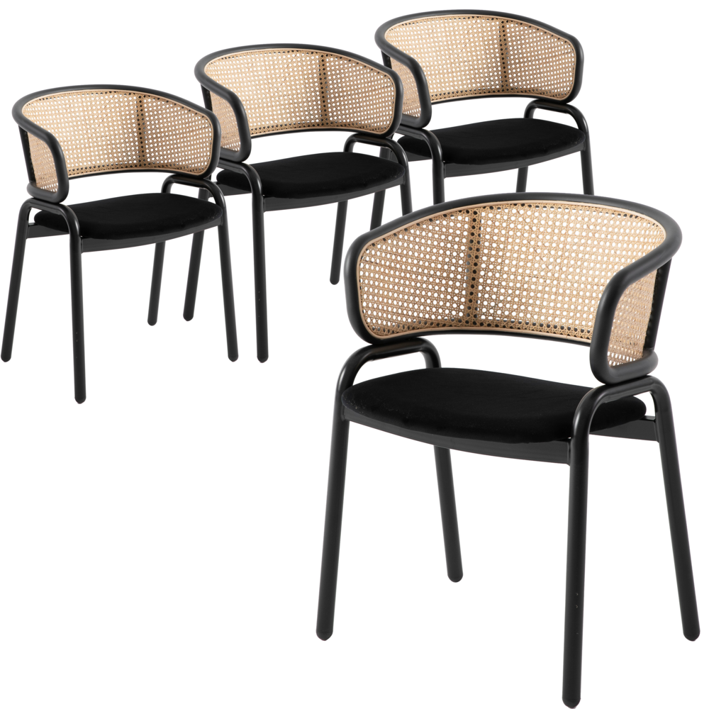 Ervilla Modern Dining Chair