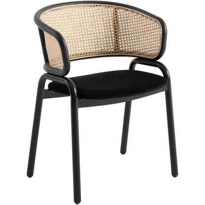 Ervilla Modern Dining Chair