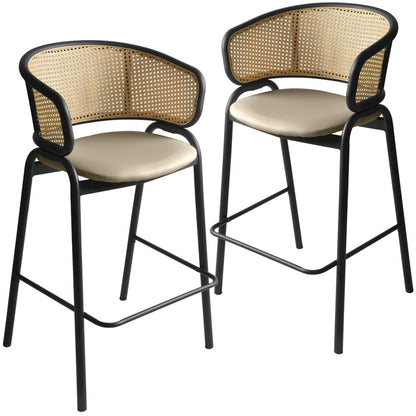 Ervilla Wicker Bar Stool Set of 2