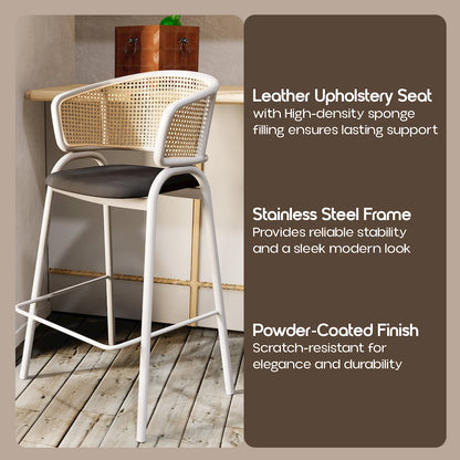 Ervilla Wicker Bar Stool Set of 2