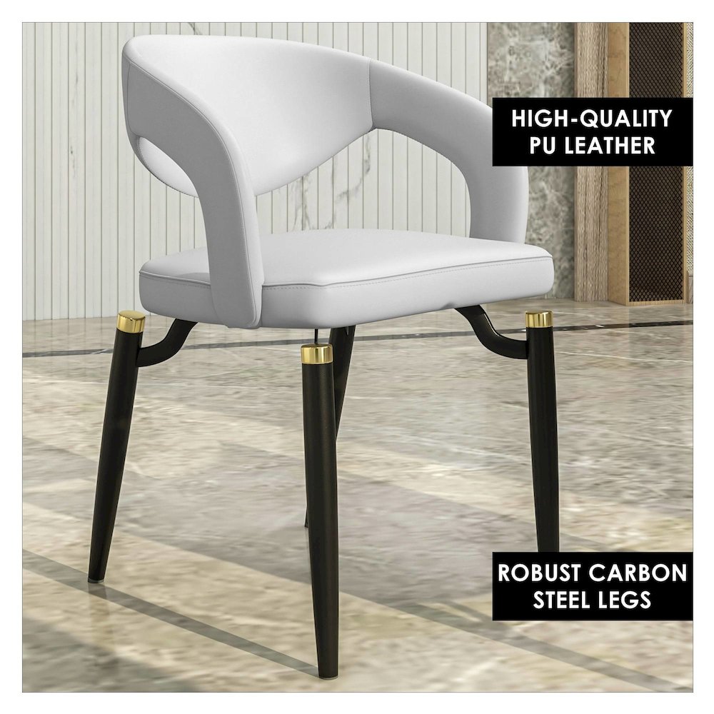 Entice Collection Modern Dining Chair Set of 2 in White
