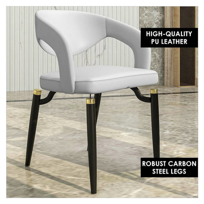 Entice Collection Modern Dining Chair Set of 2 in White