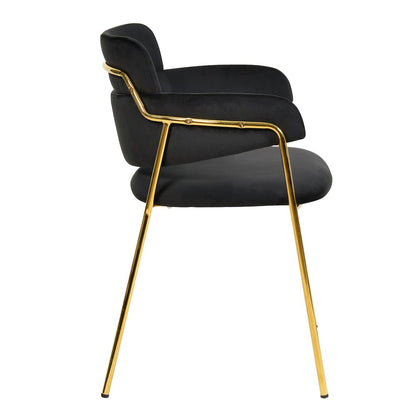 Axis Collection Modern Gold Dining Chair in Black - Set of 2