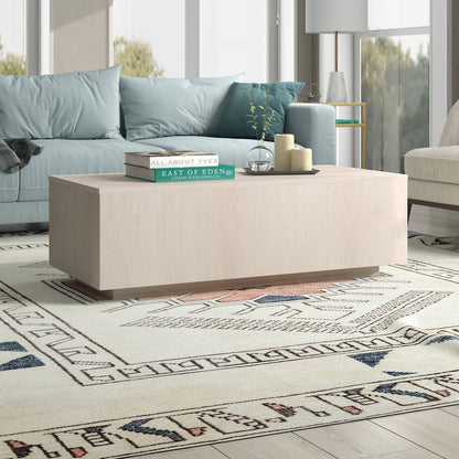 Paxton 48" Wide Rectangular Coffee Table in Alder White