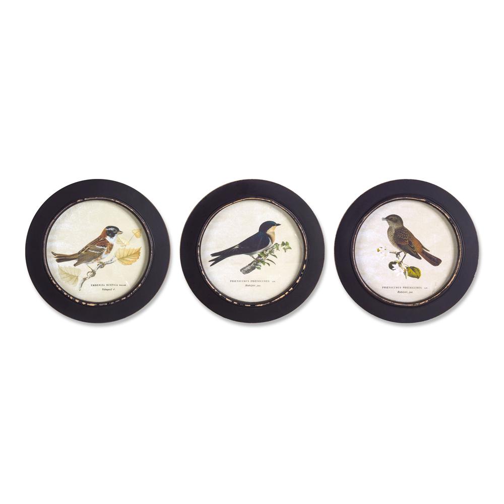 Framed Bird Print (Set of 3) 9.5"D MDF