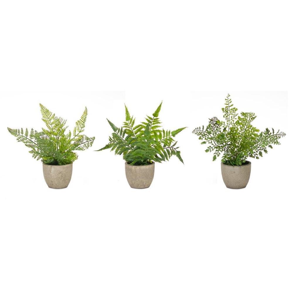 Potted Fern (Set of 3) 9.5"H Plastic