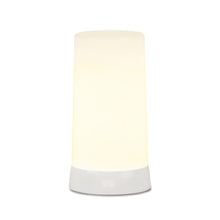 LED Flickering Light remote and 6 Hr Timer (Set of 2) 5"H Plastic 6 Hr Timer