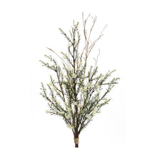 Leptospermum Swag (Set of 6)