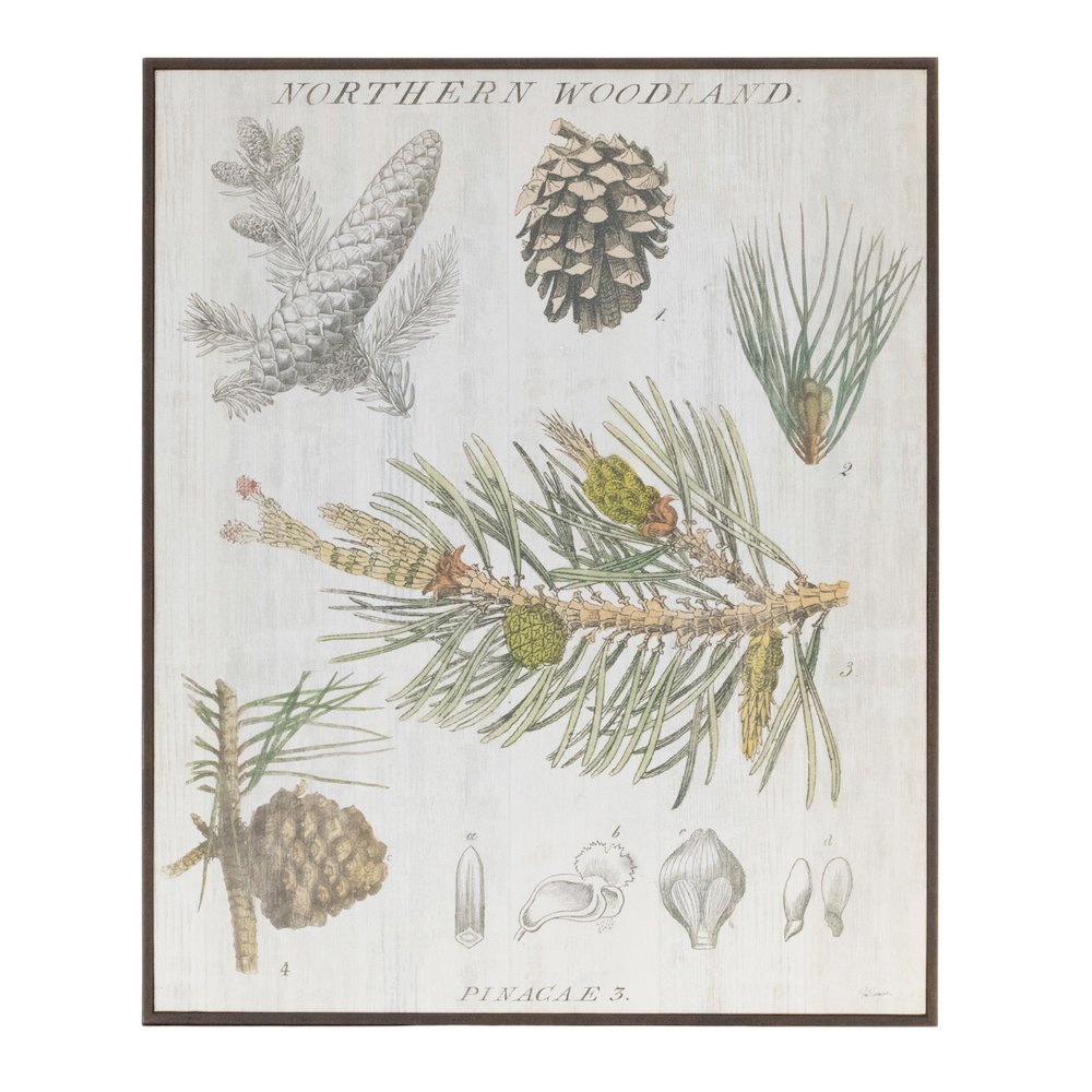 Framed Pine Print 13"L x 15.5"H Plastic/Paper