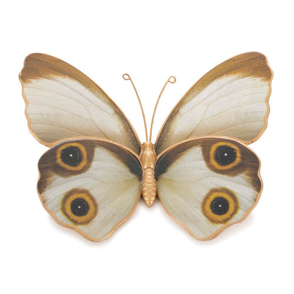 Butterfly (Set of 2) 4"L, 5"L Resin