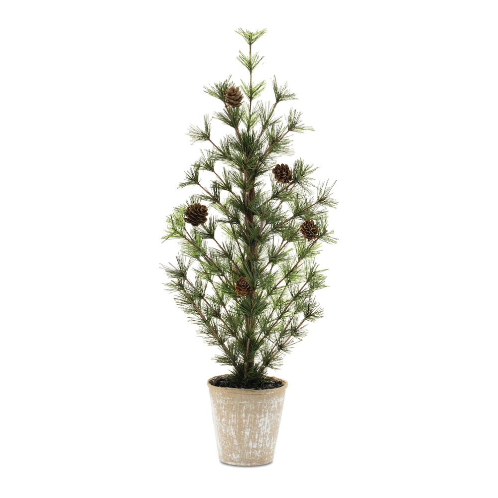 Potted Mini Pine Tree 24"H