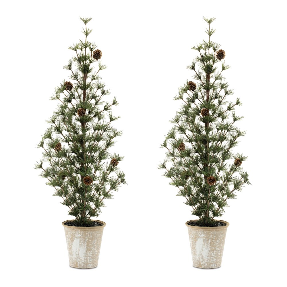 Potted Mini Pine Tree (Set of 2)