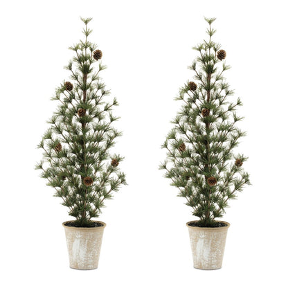 Potted Mini Pine Tree (Set of 2)