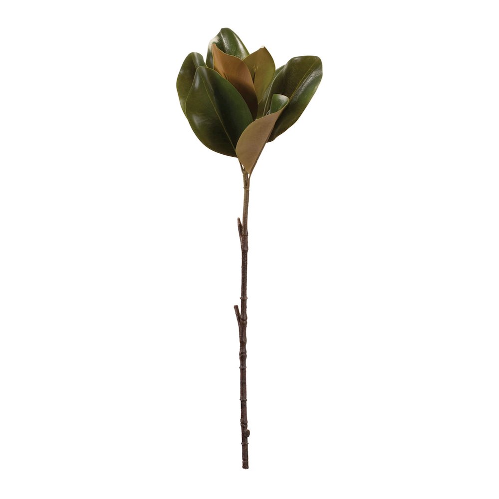 Magnolia Leaf Spray (Set of 6)