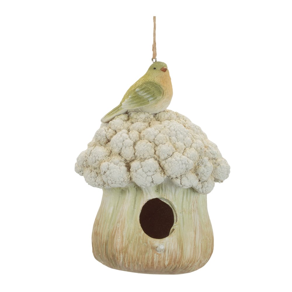 Cauliflower Birdhouse and Hanging Birdbath (Set of 2)