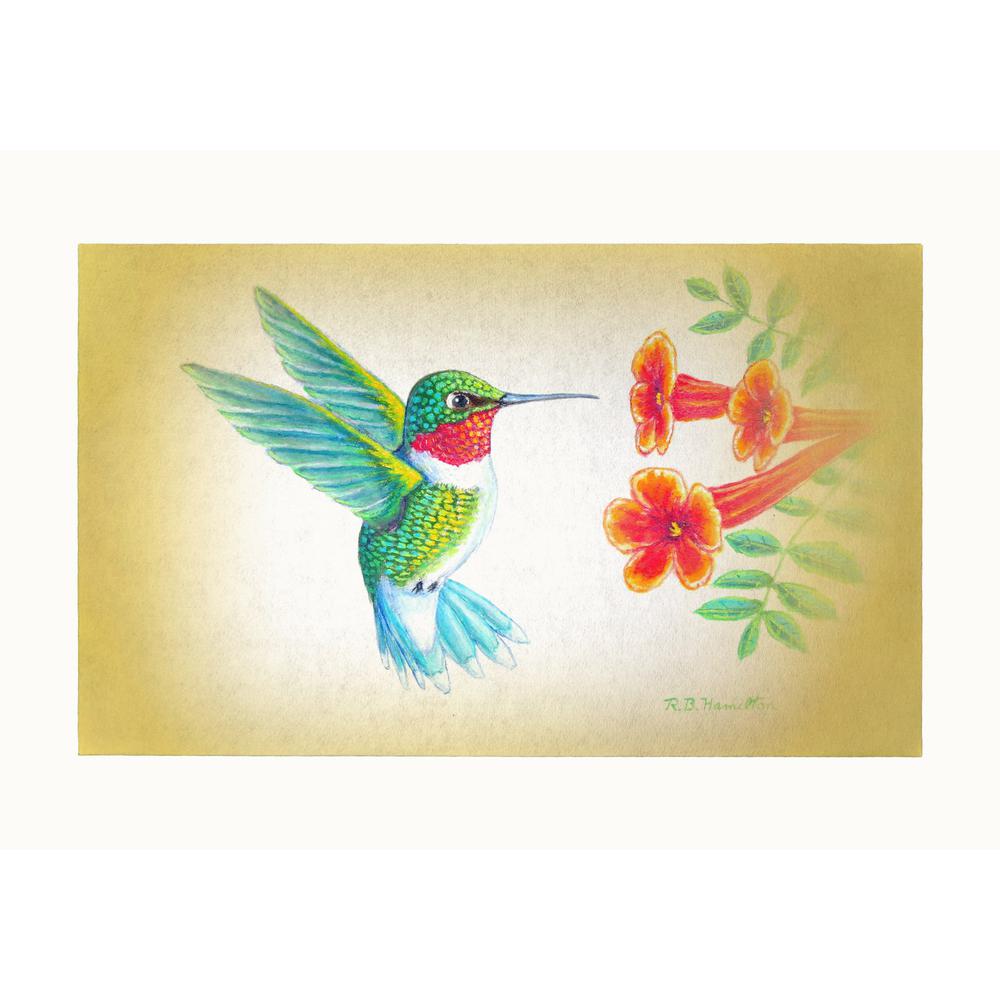 Dick's Hummingbird Door Mat 30x50