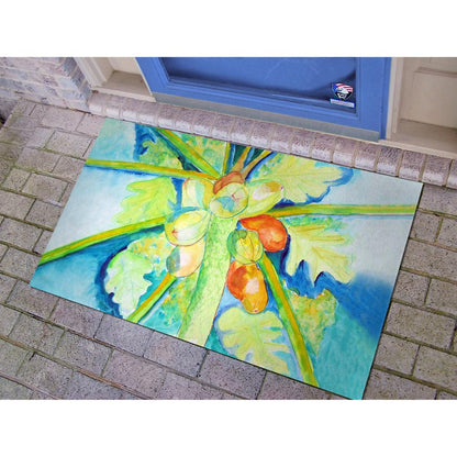 Big Cocoa Nuts Door Mat 30x50