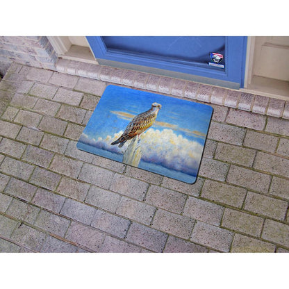 Osprey Storm Door Mat 18x26