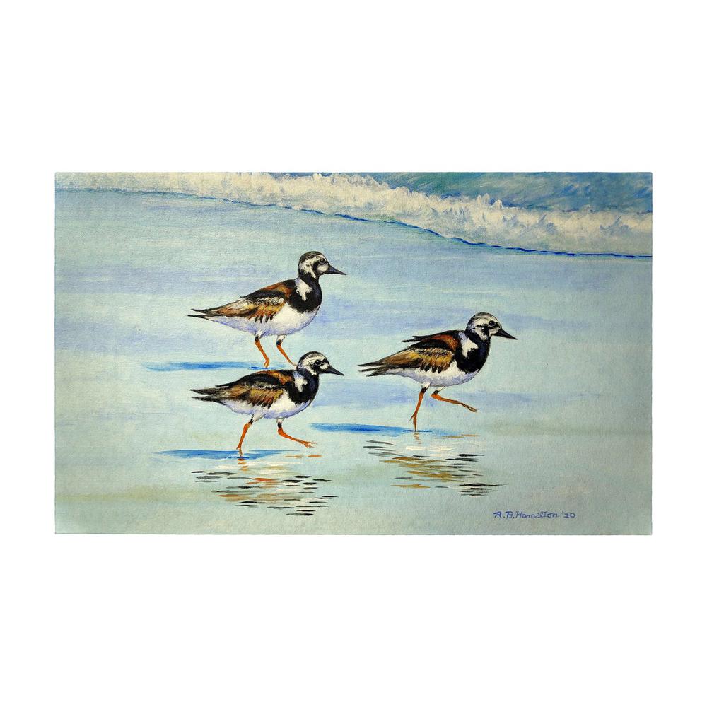 Ruddy Turnstones Large Door Mat