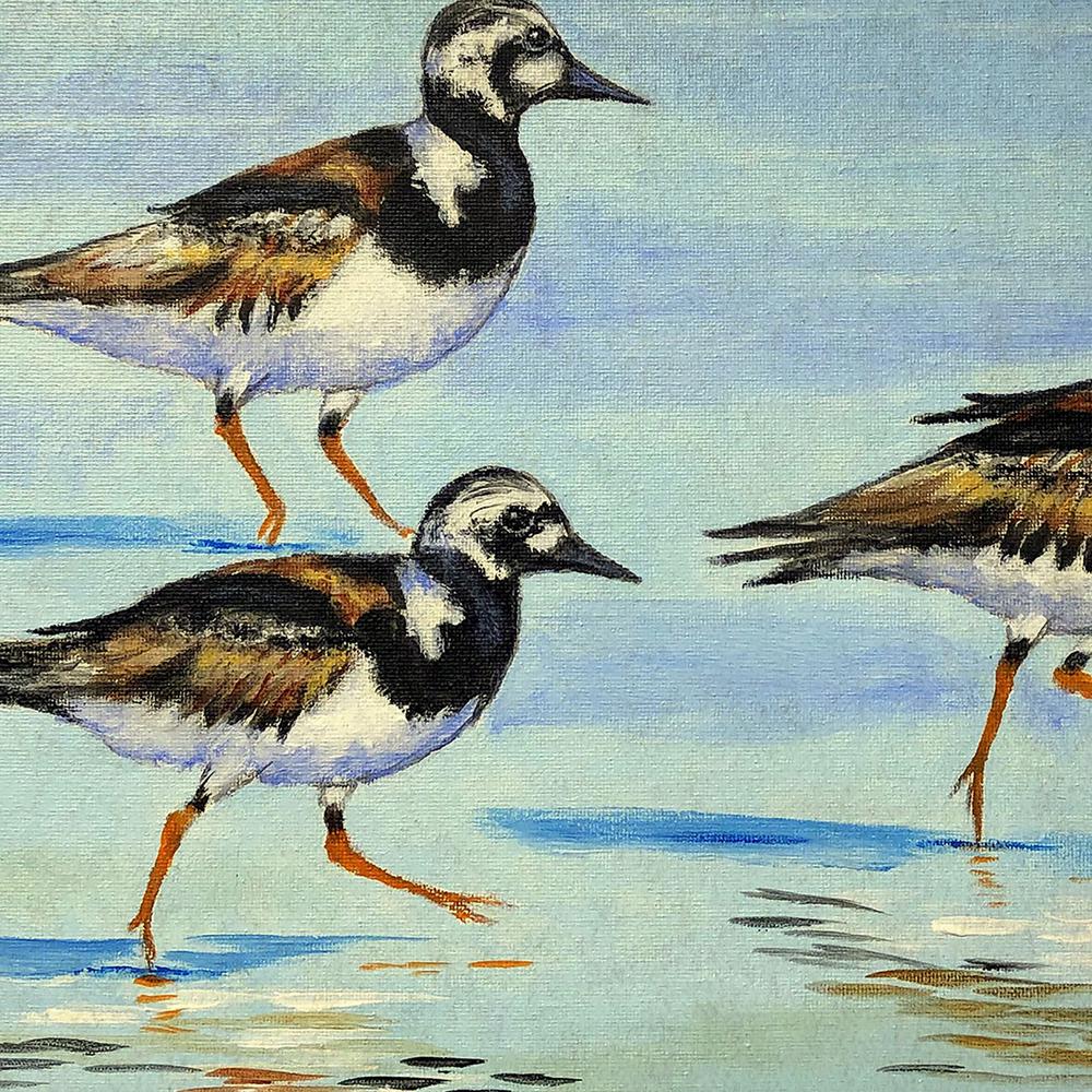 Ruddy Turnstones Large Door Mat